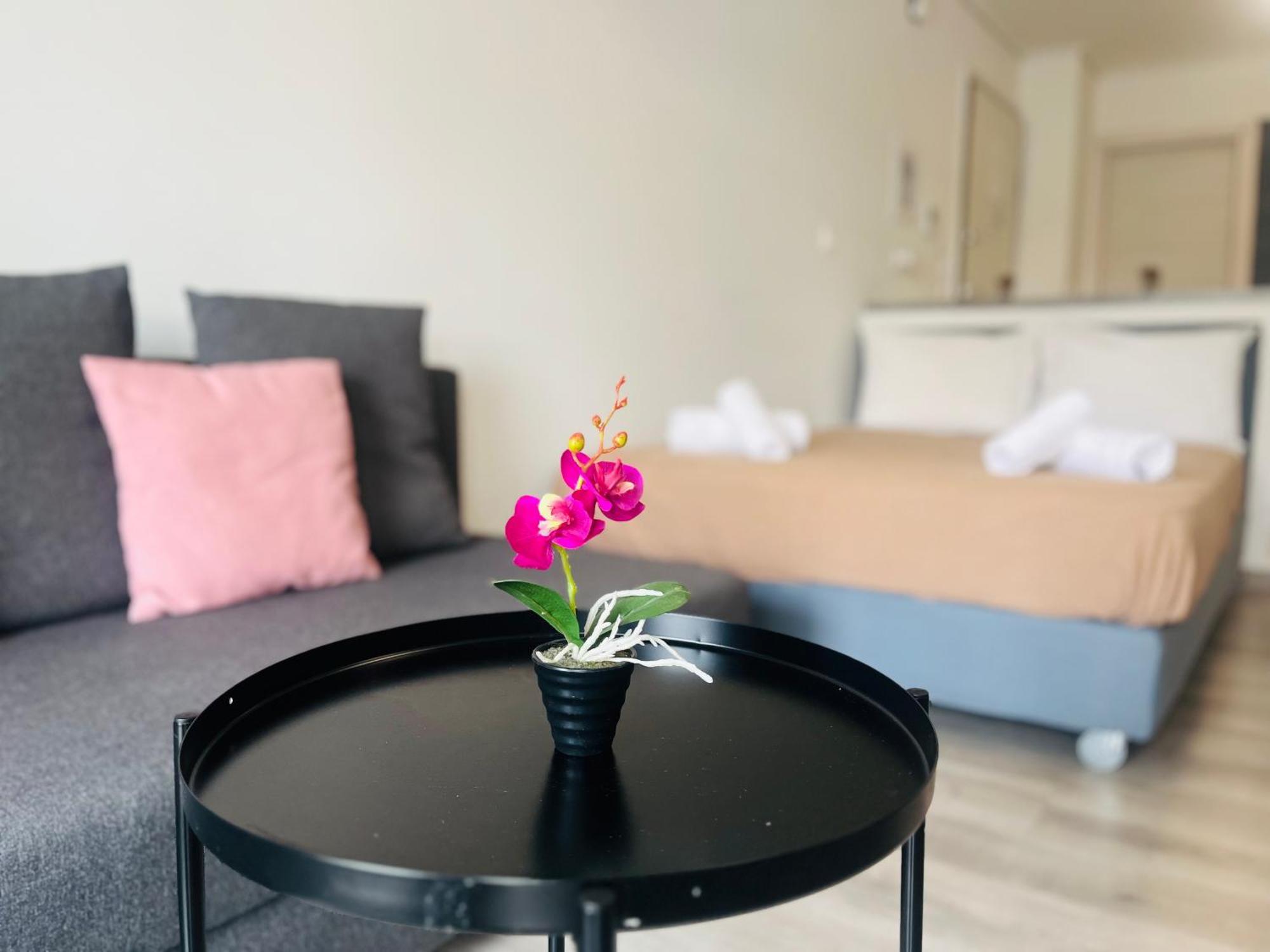 Elvita Apartments 4 アテネ エクステリア 写真